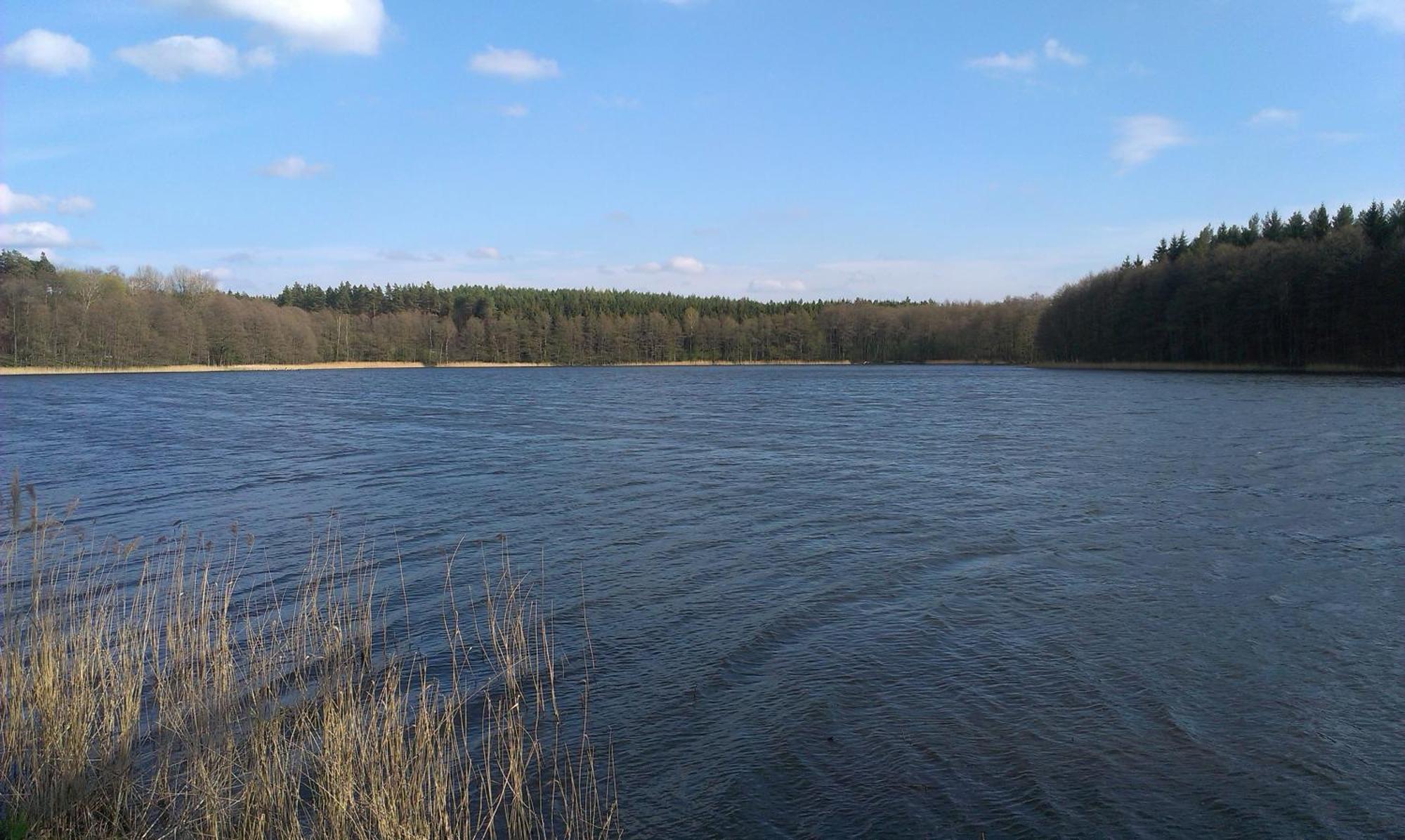 Agro-Tur Domki W Szuwarach Kuty Kamer foto