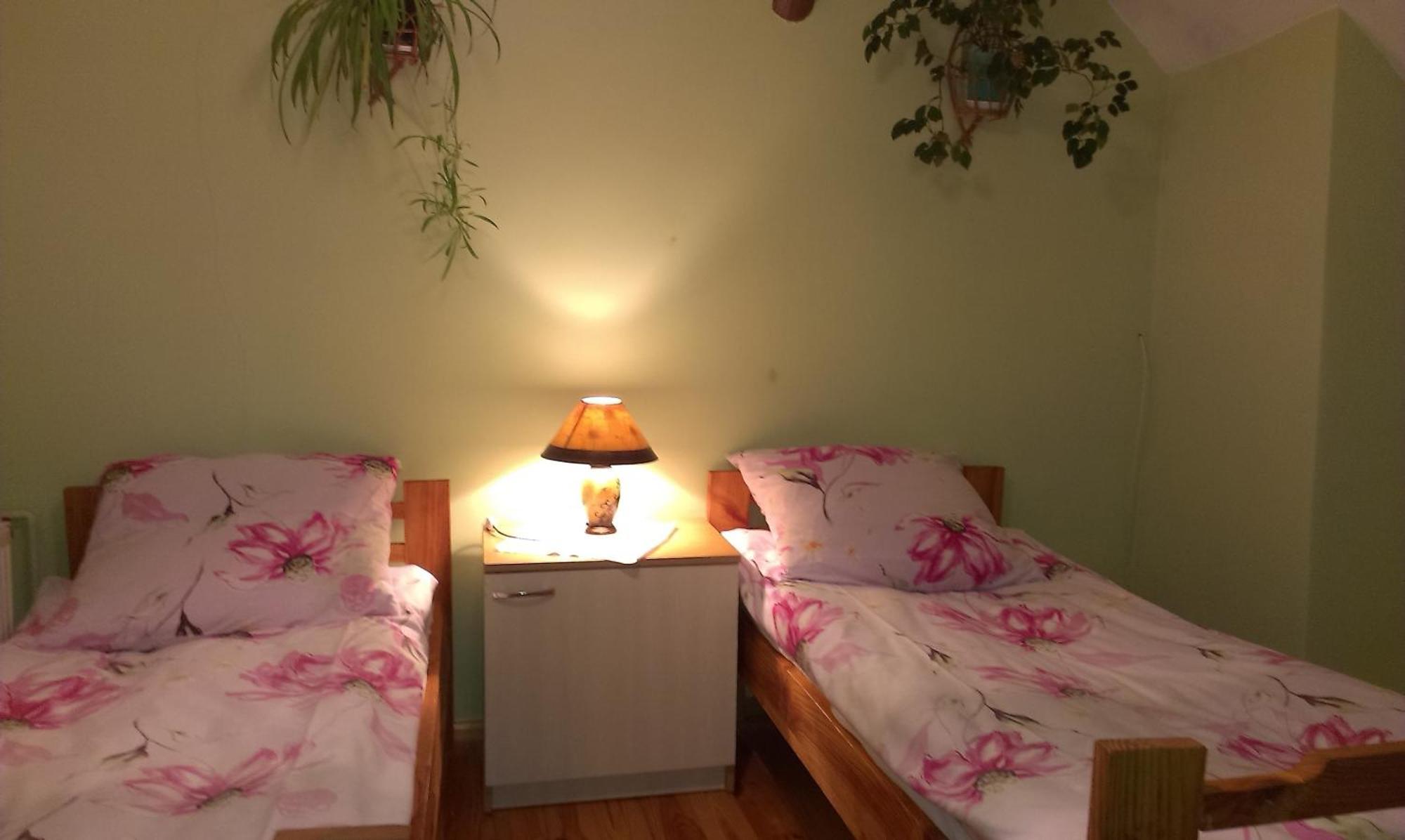 Agro-Tur Domki W Szuwarach Kuty Kamer foto