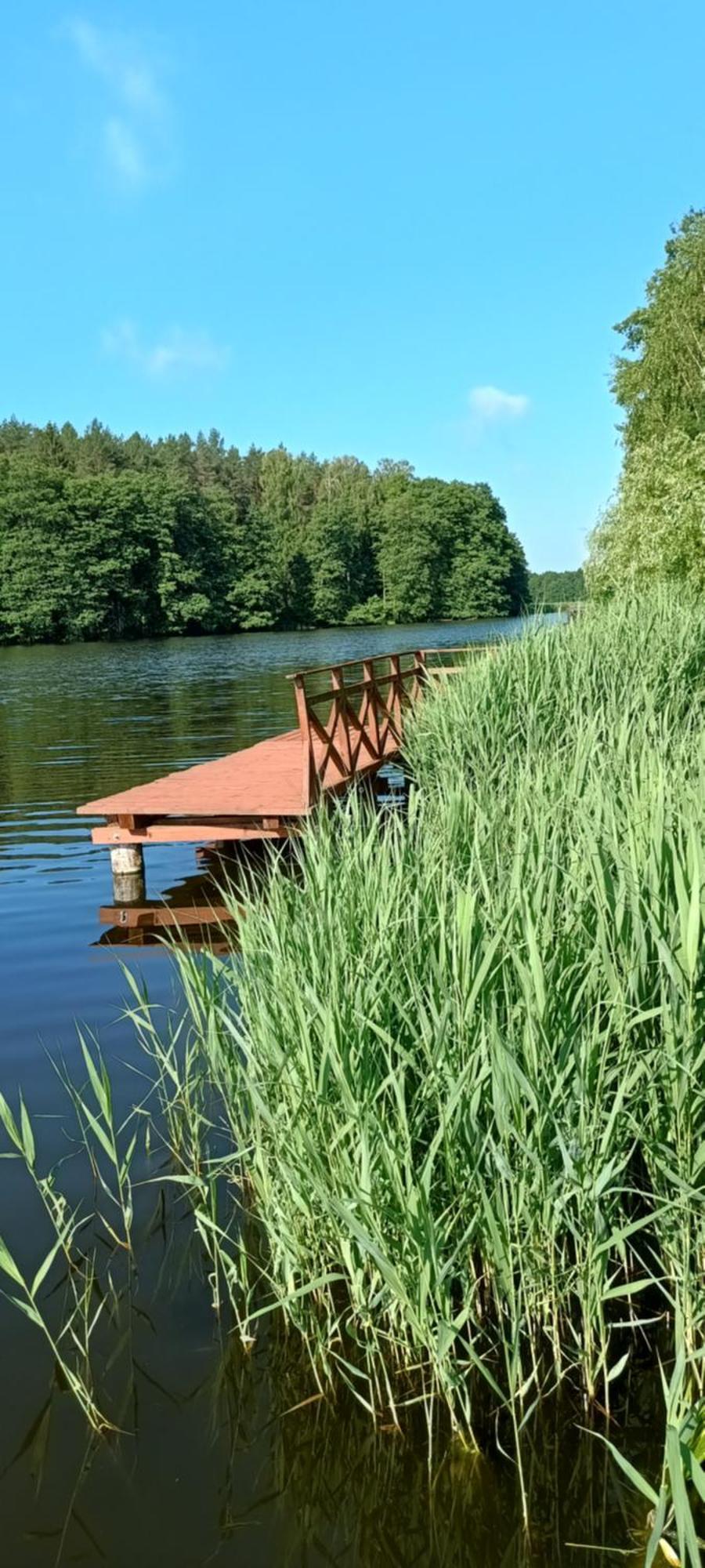 Agro-Tur Domki W Szuwarach Kuty Buitenkant foto
