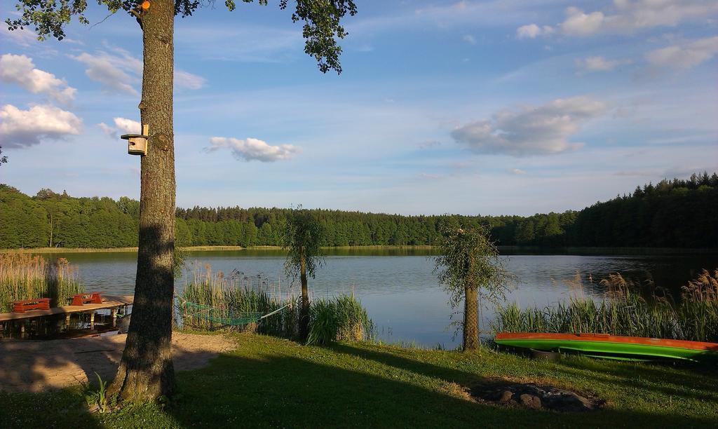 Agro-Tur Domki W Szuwarach Kuty Buitenkant foto