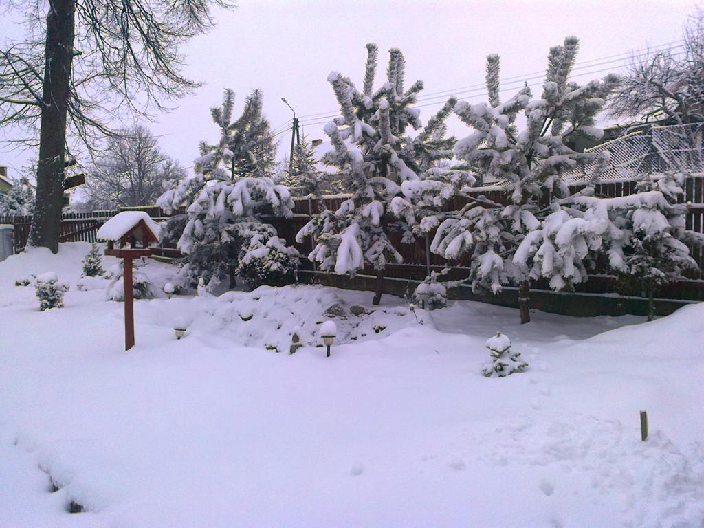 Agro-Tur Domki W Szuwarach Kuty Buitenkant foto