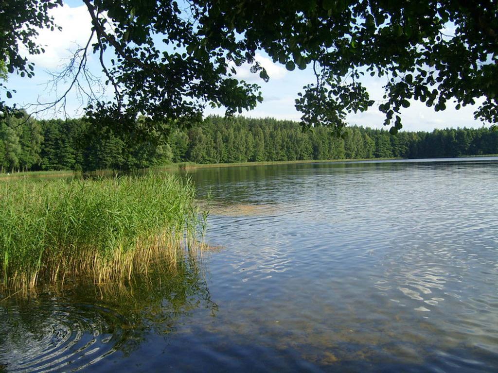 Agro-Tur Domki W Szuwarach Kuty Buitenkant foto