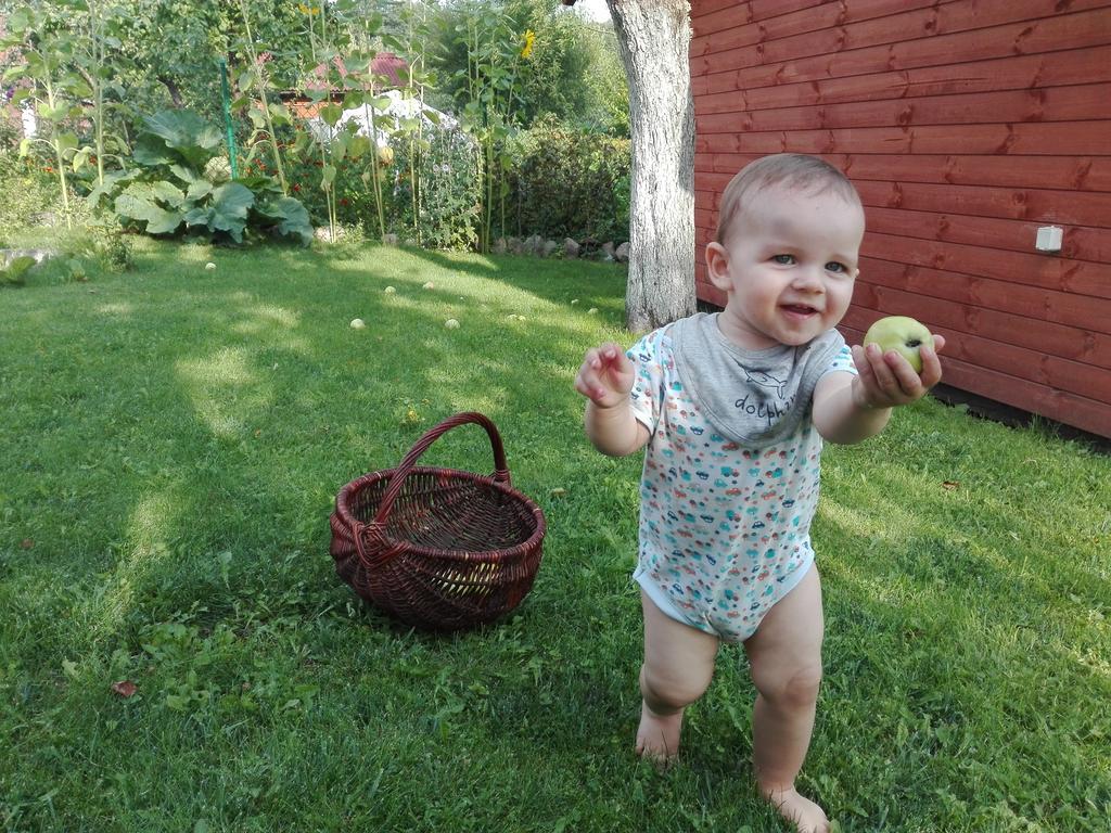 Agro-Tur Domki W Szuwarach Kuty Buitenkant foto