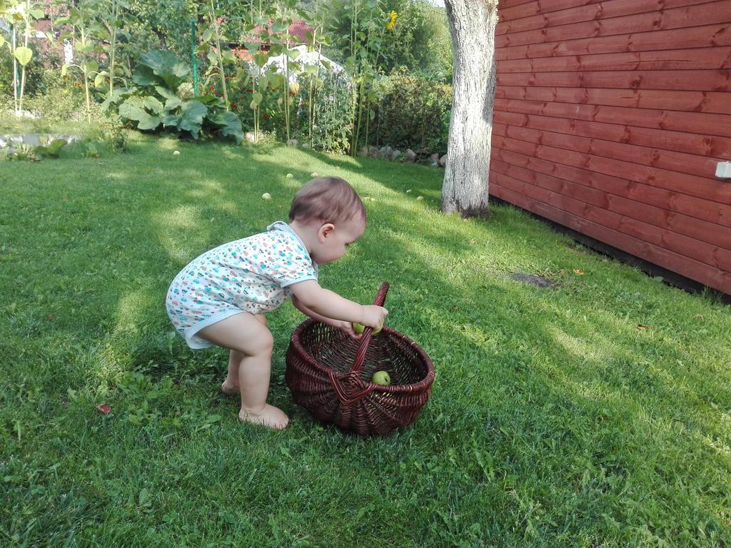 Agro-Tur Domki W Szuwarach Kuty Buitenkant foto