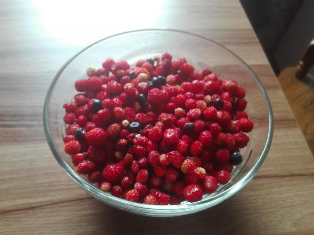 Agro-Tur Domki W Szuwarach Kuty Buitenkant foto