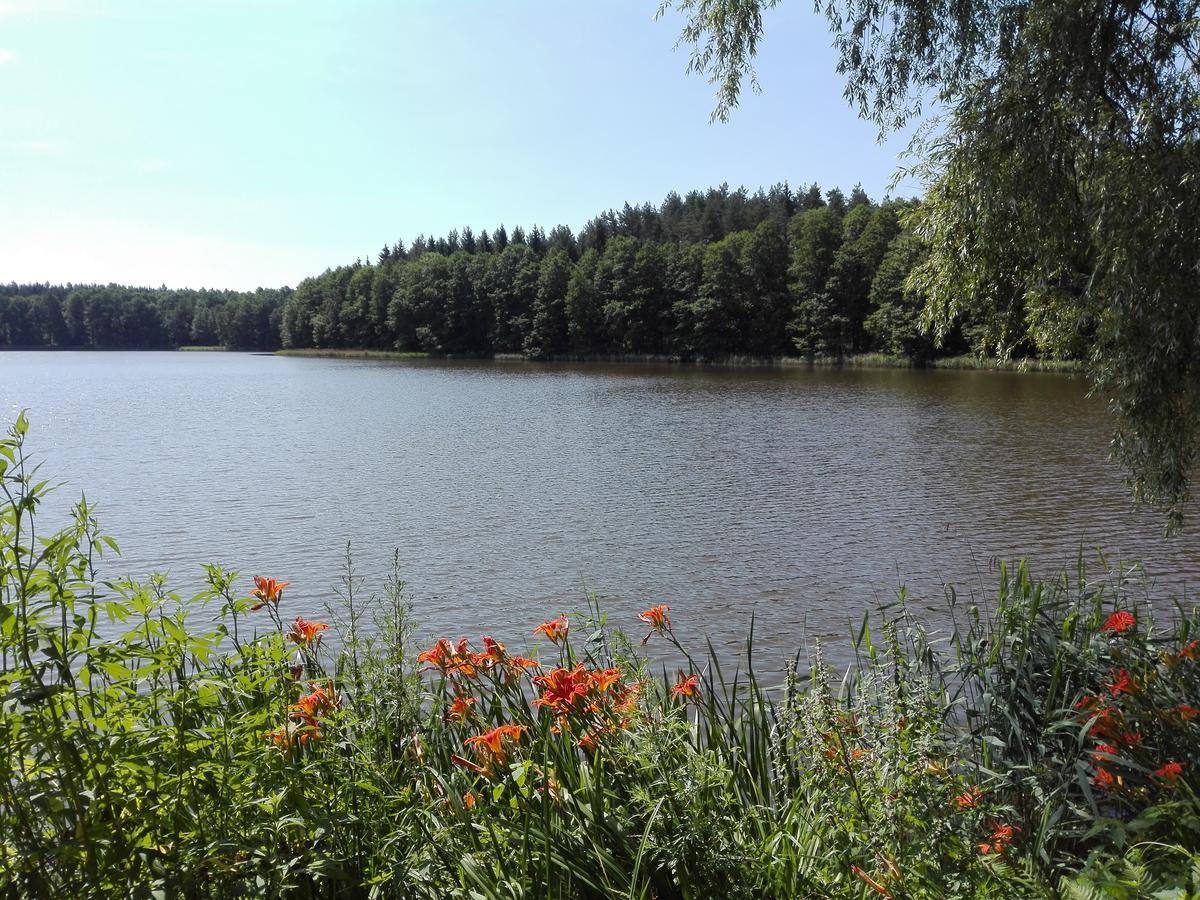 Agro-Tur Domki W Szuwarach Kuty Buitenkant foto