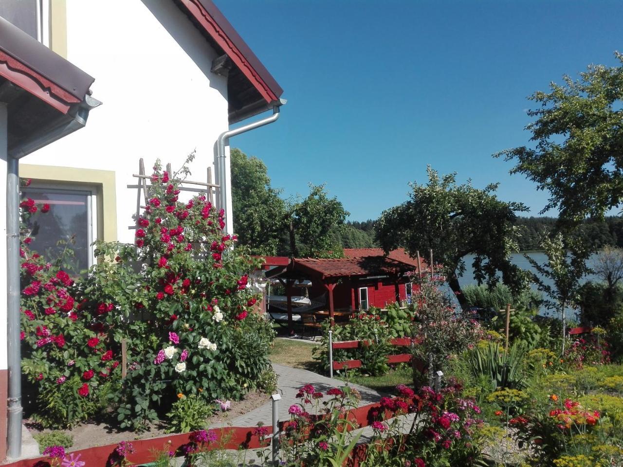 Agro-Tur Domki W Szuwarach Kuty Buitenkant foto