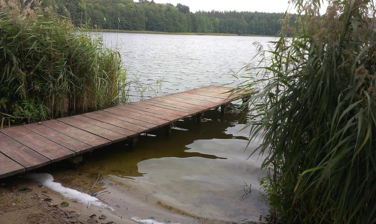 Agro-Tur Domki W Szuwarach Kuty Kamer foto